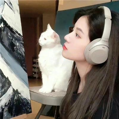 忍者通告